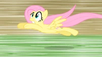 Catch Fluttershy!