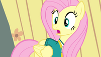 Fluttershy scared all over again S4E14