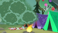 Fly-ders swarm all over the sisters' campsite S7E16