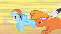 Little Strongheart and Rainbow Dash S1E21