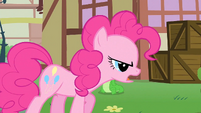 Pinkie Pie 'they don't want me to know' S1E25