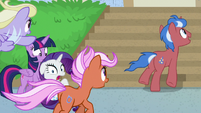 Ponies racing past Twilight and Rarity S8E16