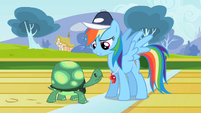 Rainbow Dash and Tank S2E7