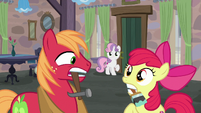 Big McIntosh and Apple Bloom hear Sweetie Belle's warning S7E8