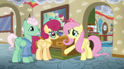 Fluttershy "you do everything for him!" S6E11