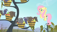 Fluttershy 'I really, really, really hate to do this to you' S4E07