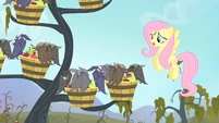 Fluttershy 'I really, really, really hate to do this to you' S4E07.png (878 KB) Fluttershy 'I really, really, really hate to do this to you' S4E07