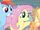 Fluttershy 'What kind of things' S3E1.png