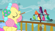 Fluttershy e os pássaros T2E26