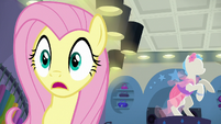 Fluttershy looking very impressed S8E4