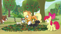 Goldie's cats run across Apple Bloom's pit trap S9E10