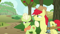 Granny Smith forbids Bright Mac's relationship S7E13