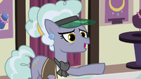 Jeweler Pony "why in Equestria would" S7E2