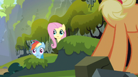 Rainbow Dash & Fluttershy wide eyes S3E9