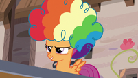 Scootaloo puts her rainbow wig on again S7E8