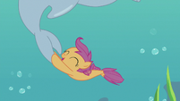 Scootaloo swimming with a porpoise S8E6
