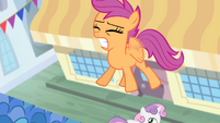Scootaloo trying to fly S4E19