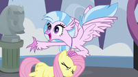 Silverstream -is that a yak-!- S8E1