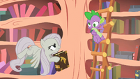 Spike crossed-eyed because Fluttershy threw a scroll at him S2E2