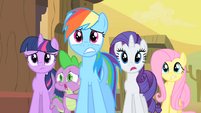 Twilight, Rainbow Dash, Rarity, Fluttershy, Spike Worried S1E21