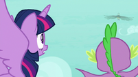 Twilight and Spike see the roc fly away S8E11