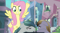 Assertive Fluttershy S3E1