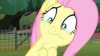 Fluttershy with tears on her eyes S4E14