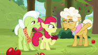 Goldie fueling Apple Bloom's fixation S9E10