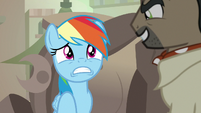 Rainbow Dash in a state of panic S7E18