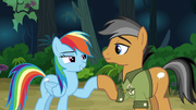 Rainbow and Quibble hoof-bump of friendship S6E13