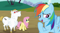 Rainbow correcting herself S4E10