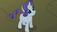 Rarity looking up smiling S1E2