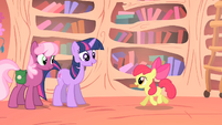 Twilight Sparkle and Cheerilee talking to Apple Bloom S1E18