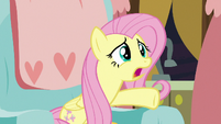Fluttershy "what is wrong with you?!" S7E12