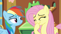 Fluttershy giggles S5E5