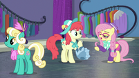 Hipster Fluttershy talking to Mare E. Belle S8E4