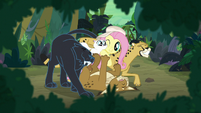 Jungle cats being friendly with Fluttershy S9E21