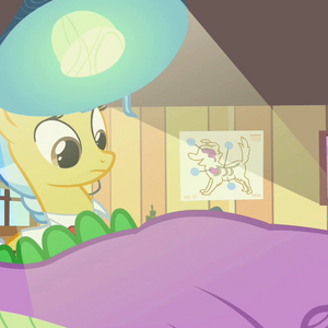 Dr Fauna Gallery My Little Pony Friendship Is Magic Wiki Fandom