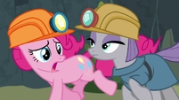 Pinkie Pie "is it a rock?" S7E4