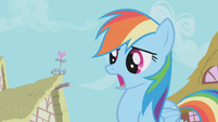 Rainbow Dash "ON the other end" S01E04