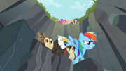 Rainbow Dash about to start race S2E7