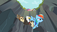 Rainbow Dash about to start race S2E7