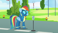 Rainbow Dash putting her goggles on S7E7