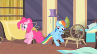 Rainbow and Pinkie looking down S4E08