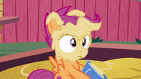 Scootaloo with a sand-covered face S6E19