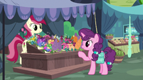 Sugar Belle buying flowers from Rose S9E23