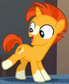 Sunburst colt ID S5E26.png