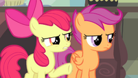 Apple Bloom "about this for weeks, right?" S4E19