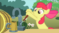 Apple Bloom pours cider again S2E15