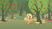 Applejack misses another tree S1E04